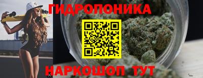 эйфоретик Гусь-Хрустальный