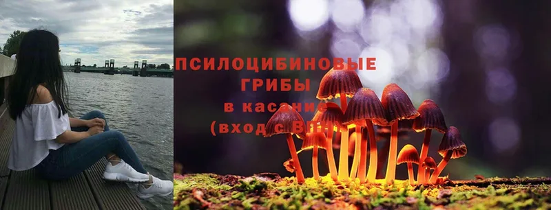 Галлюциногенные грибы MAGIC MUSHROOMS  Ипатово 