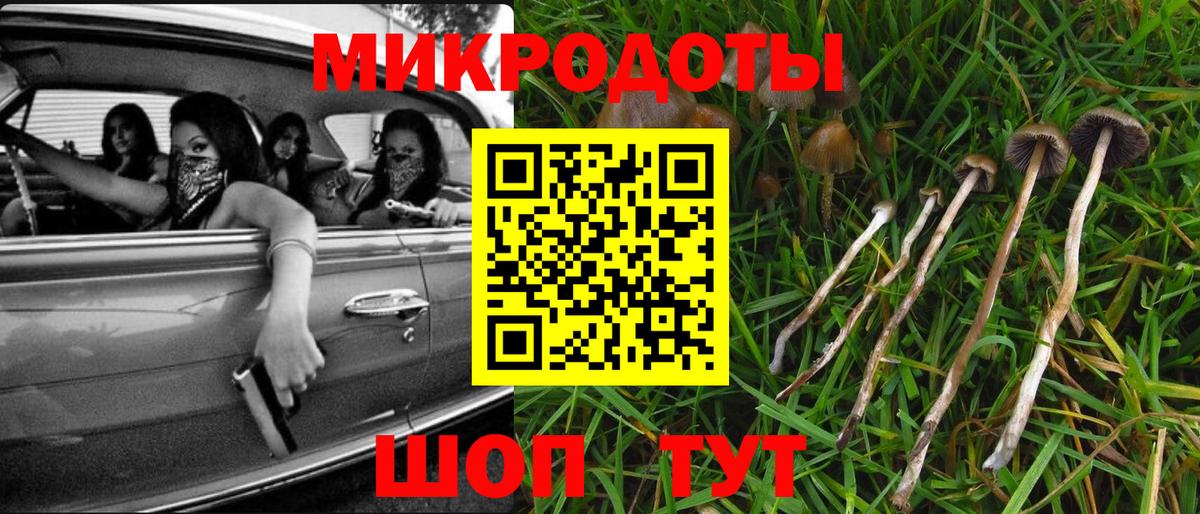 Галлюциногенные грибы Psilocybe Ипатово