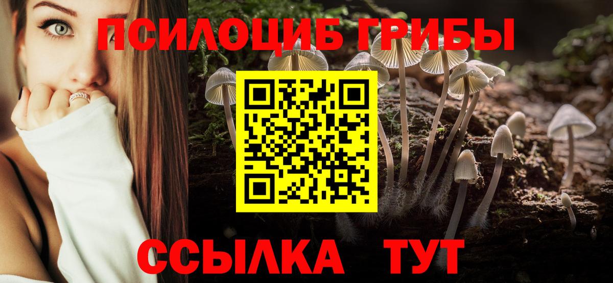 Ипатово  Псилоцибиновые грибы мицелий  Вход с VPN 